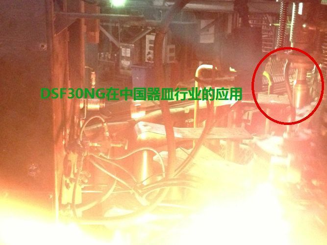 DSF30NG , DSF34NGz�ڲ����ИI